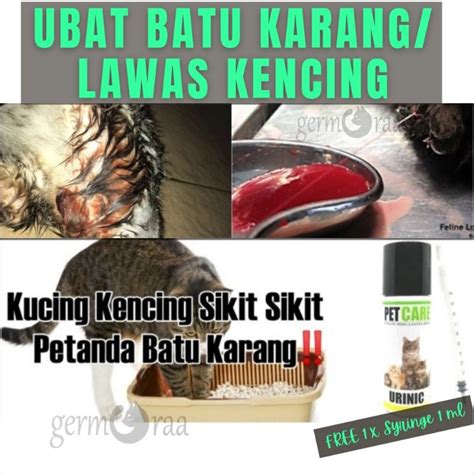 Ubat Batu Karang Buah Pinggang Lawas Kencing Kucing Dan Anjing Cat