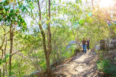 Crows Nest National Park Parks And Forests Department Of The