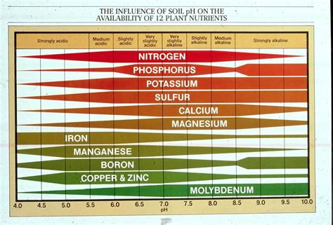 ph soil chart - Yahoo Image Search Results | Plant nutrients, Soil, Soil ph