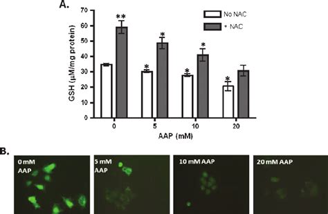 Acetaminophen Reduced Cellular GSH Levels In HUH6 Cells In A