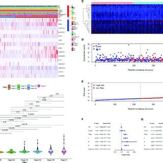 Clinical Application Of The 15 Gene Risk Signature A Heatmap