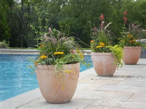 Planters To Surround Pool Plants Around Pool Pool Planters Backyard