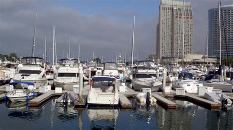 Boat Marina in San Diego, California image - Free stock photo - Public ...