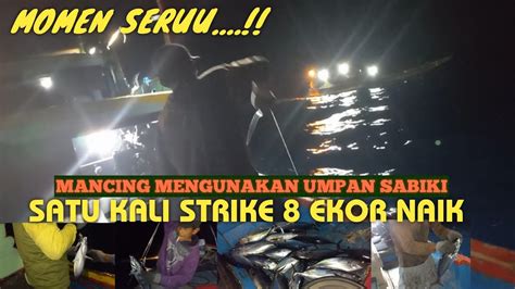 Aksi Seru Nelayan Puger Mancing Ikan Besar Satu Kali Tarik Ekor