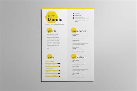 Cv Resume Vol Graphic By Storictype Creative Fabrica