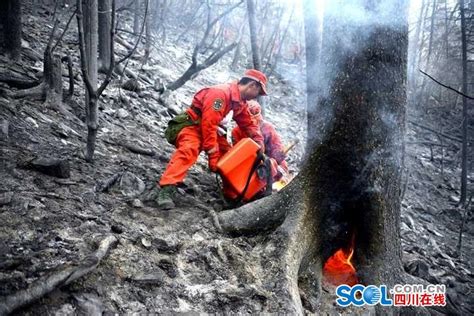 持续9天的雅江森林火灾 2000余名警民连续鏖战扑灭全部明火新浪新闻