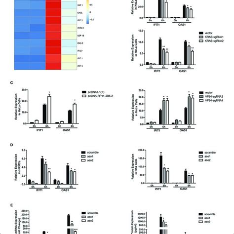 Lncrna Rp11 2b62 Positively Regulates The Activation Of Ifn I