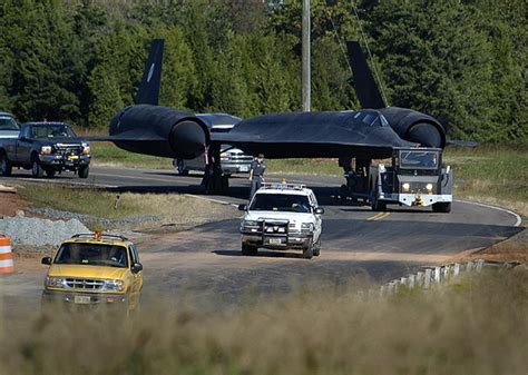 Best Blackbirds Images On Pholder Birding Warplane Porn And