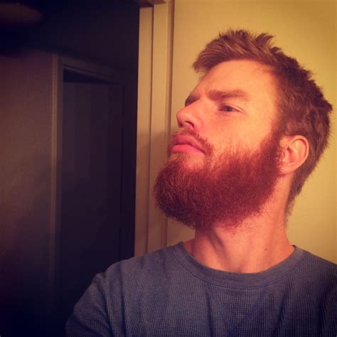 3 month ginger beard : r/beards