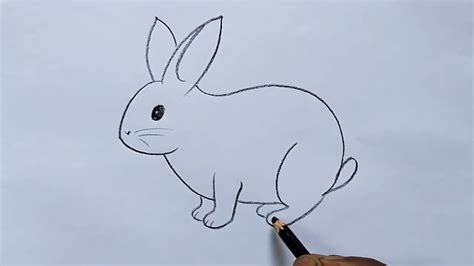 How Draw A Rabbit - Infoupdate.org