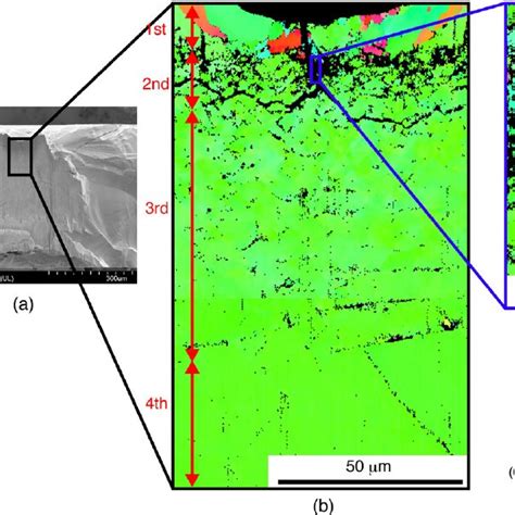 A Cross Section Sem Image B Ebsd Analysis Area Depth 130 μ M