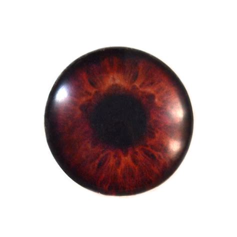 Dark Brown Human Glass Eyes Handmade Glass Eyes