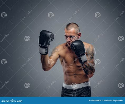 Shirtless Fighter Isolated On Grey Background Stock Photo Image Of