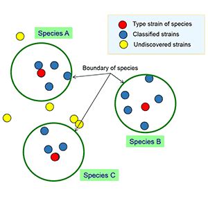 Bacterial species concept explained – EzBioCloud Help center