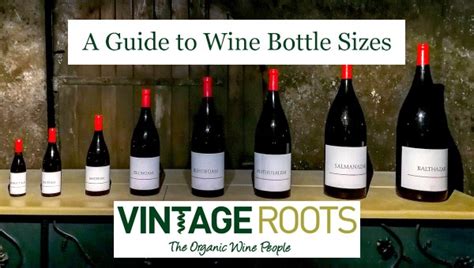 Wine Bottle Sizes A Complete Guide Vintage Roots