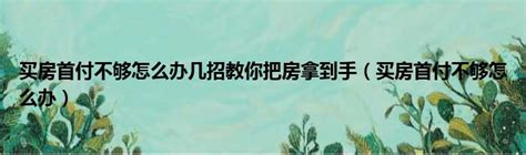 买房首付不够怎么办几招教你把房拿到手（买房首付不够怎么办）51房产网