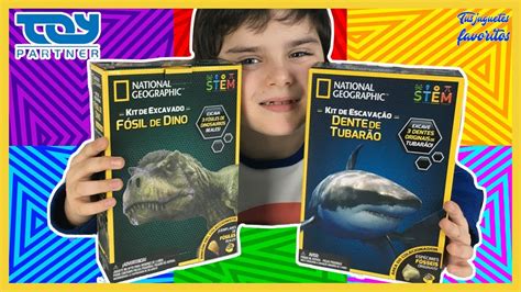 Kit De Excavacion Fosiles Dinosaurio Y Tiburon National Geographic