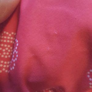 GAP Swim New Gap Body Top Bikini Poshmark