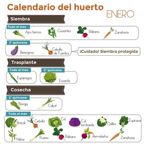 Calendario Del Huerto Marzo Artofit