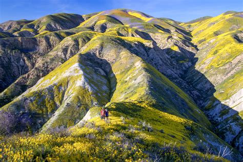 Carrizo Plain | Los Padres ForestWatch