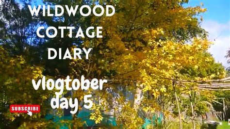 Living In Wales Housework Some Shed Chatter Vlogtober Day Wildwood