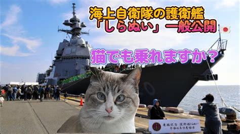 【にゃんこはゆっくり語りたい（時事系）】海上自衛隊の護衛艦「しらぬい」一般公開 摩耶埠頭で数百人が行列／20221122 Youtube