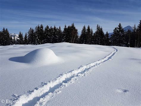 Snow Ground Wallpapers - Top Free Snow Ground Backgrounds - WallpaperAccess