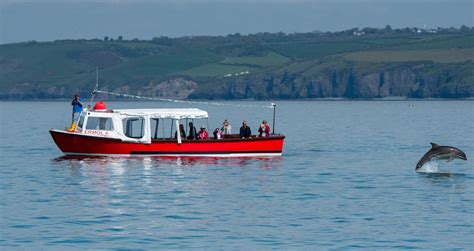 Evening Crusie New Quay Boat Trips