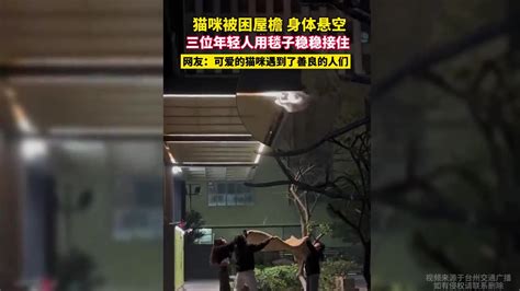 猫咪被困屋檐，身体悬空三位，年轻人用毯子稳稳接住