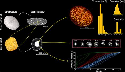 Static and dynamic structural features of single pellets determine the ...