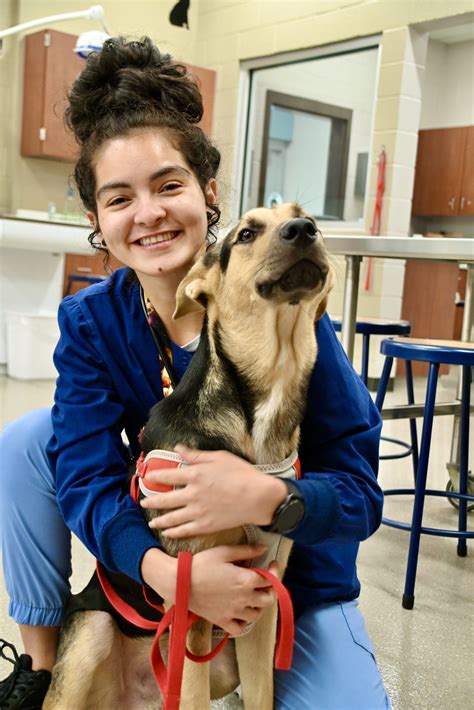 CARE establishes scholarships for Gaston College Vet Tech students