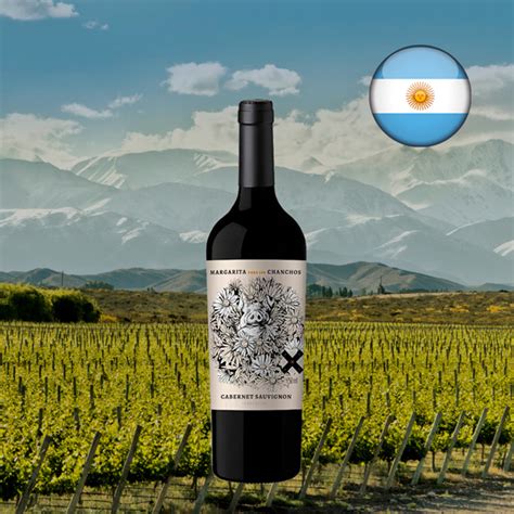 Melhores Vinhos Argentinos De Guia Atualizado