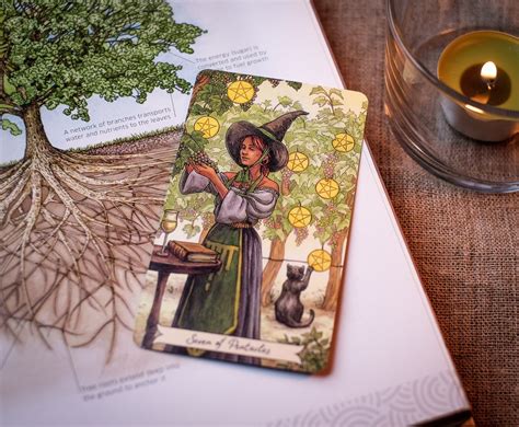 Everyday Witch Tarot - deck review and card images