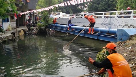 15 Ribu PPSU Petugas Pemelihara Sarana Dan Prasarana Umum Yang Di