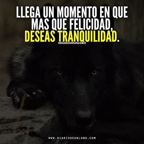 #DiarioDeUnLobo #Frases #iFrases #Quotes #Lobos #Wolves #Lobas #Lobo # ...