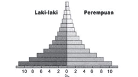 Piramida Pancasila Studyhelp