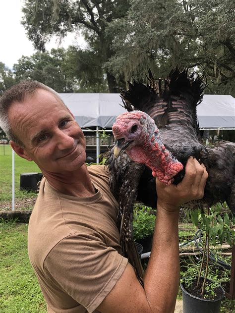 Raising The Best Meat Turkeys Heritage Versus Production Breed