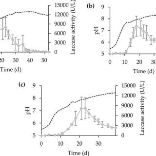 Evolution Of A Upo And B Laccase Activity In The Submerged