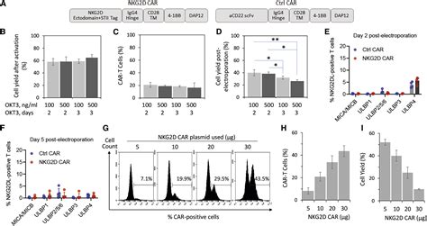 Manufacturing Nkg2d Car T Cells With Piggybac Transposon Vectors And