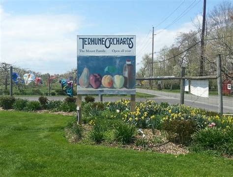 Terhune Orchards And Winery Review Places Worth Visiting Winery Day Trips