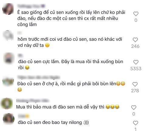 Hot TikToker bị tố tạo content mua củ sen về rồi dàn dựng cảnh đi đào cư dân mạng người bênh