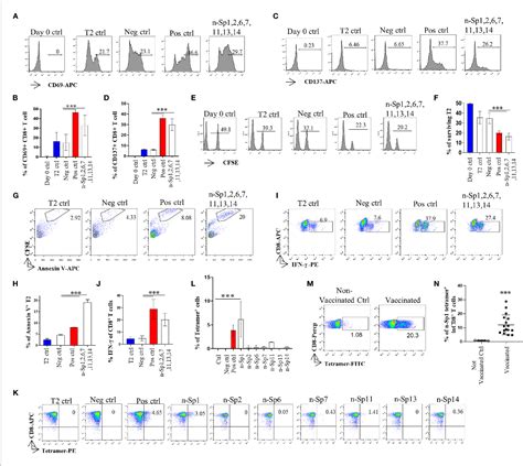 Cd8 T Cell Epitope Variations Suggest A Potential Antigen Hla A2