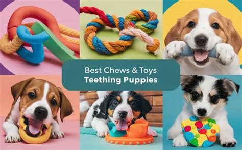 The Best Chews and Toys for Teething Puppies