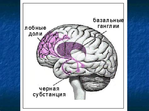 Нейрофизиология эмоций - презентация онлайн