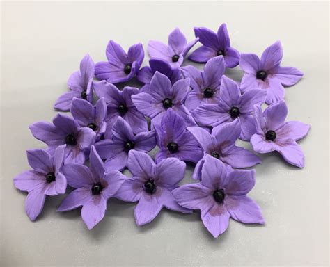 edible purple flower
