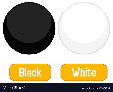 Opposite Color With Font Black And White Vector Image