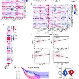 Correlation Analysis Of Dnmt With Immune Checkpoint Genes The Tumor