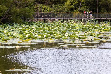 10 Best Things To Do In Kalamazoo, MI
