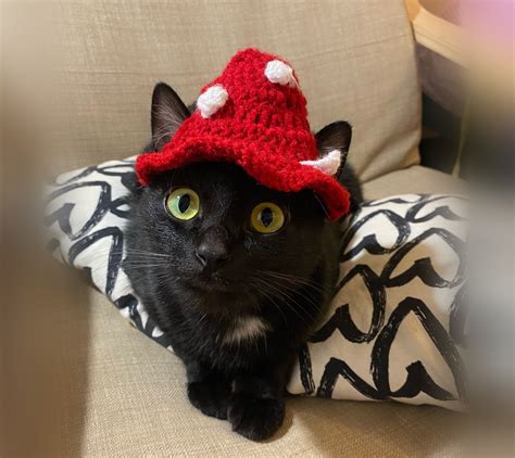 Mushroom Hat Crochet Bucket Hat Crochet Cat Hat Baby Hat Etsy