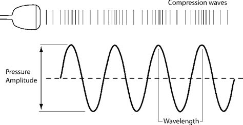 Diagram Of A Compression Wave - chartdevelopment